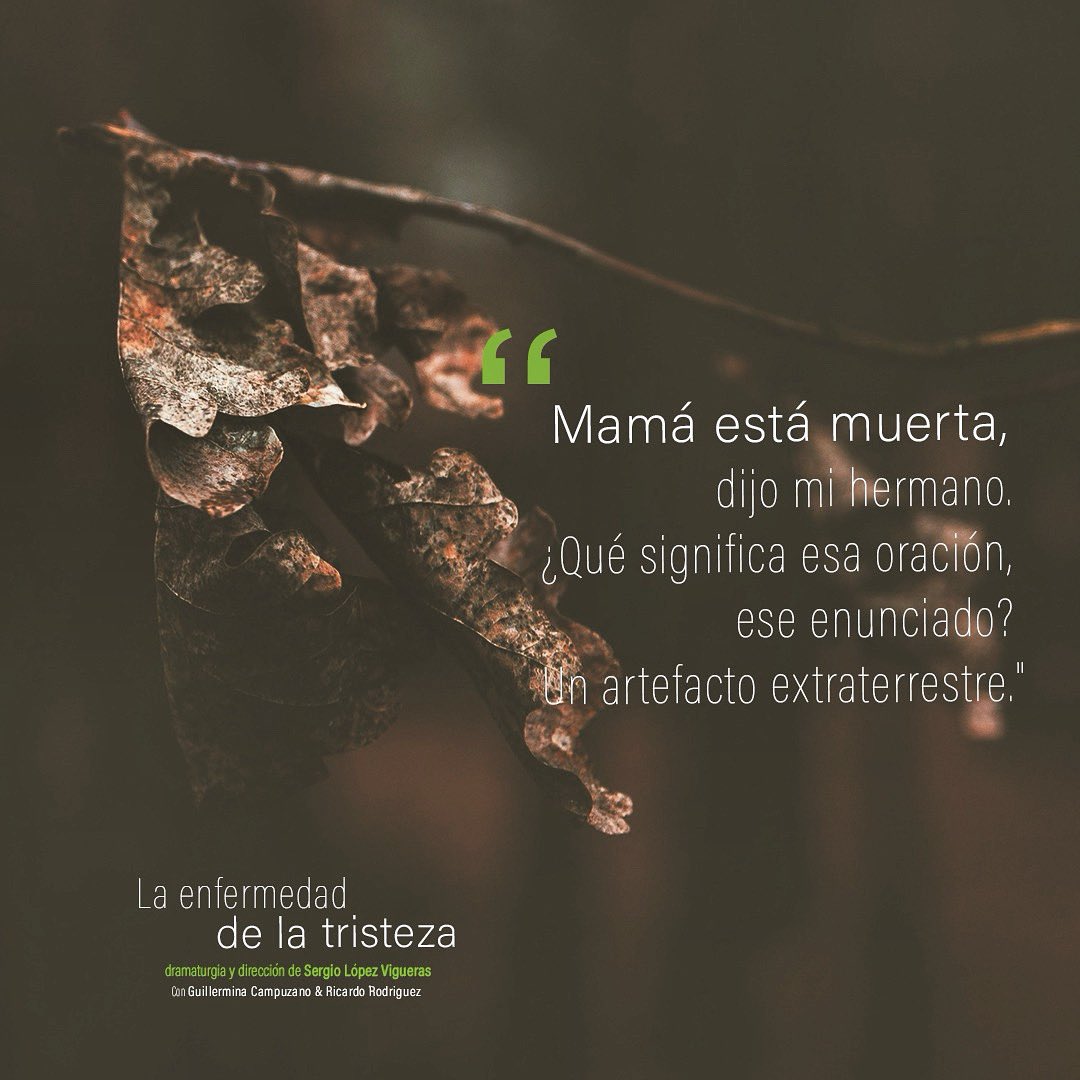 Los Bocanegra tweet media