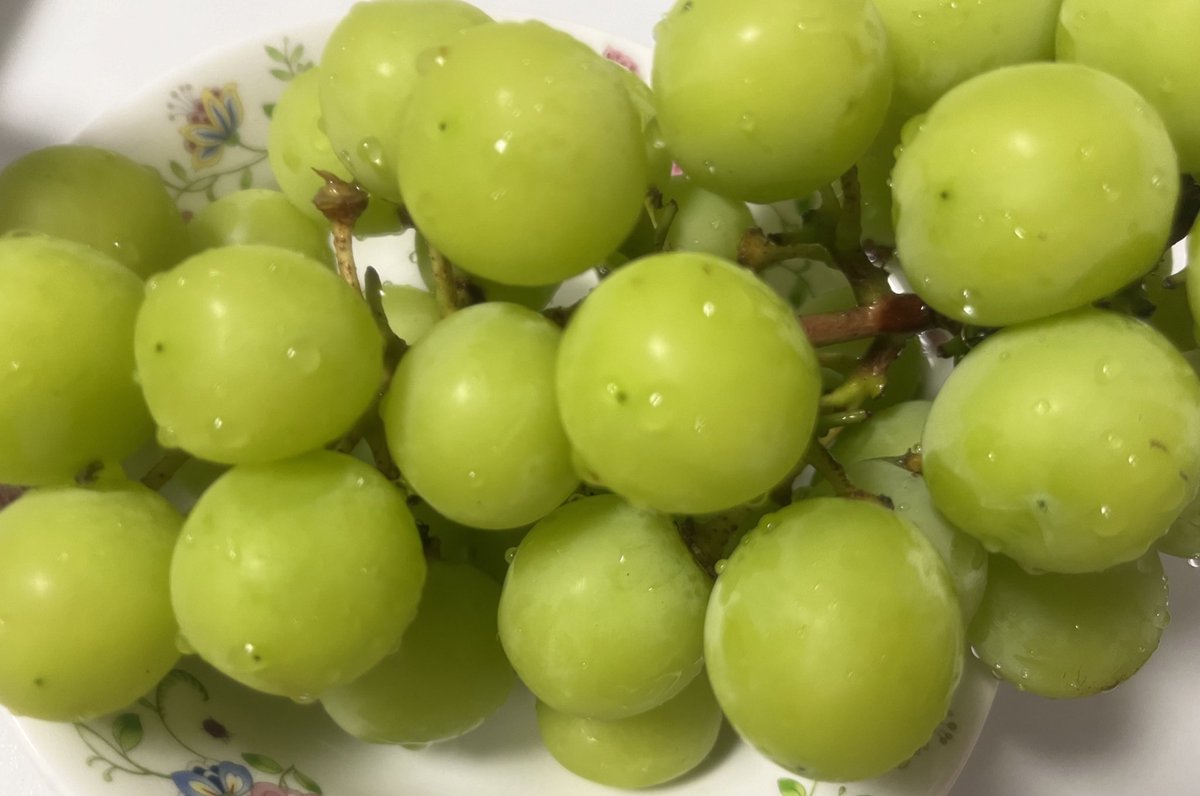 TD_Y5's tweet photo. 얘도라 나 속는셈치고 함 사봣다 한가위 전에
진자 완전 마싯엇어 엄마도 맛잇다하대
또 시켜야지🥹✨ https://t.co/9Z4ROd5qfW