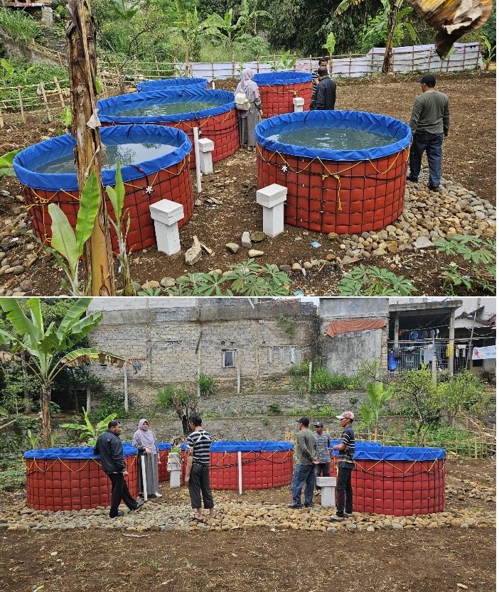 LKobog's tweet photo. Selasa (24/09), Ainun, Luhkan Kota Bogor, monitoring bantuan bioflok SiPanen dr Dana Insentif Fiskal di Pokdakan Mina Karya Kel. Ranggamekar Kec. Bogor Selatan.
#GiatLuhkanSatminkalBogor #ktbgr #aktivitas
@puslatluhkp
@brpbatpp_bogor
@bppsdm_kp https://t.co/xbeeZe4UgQ