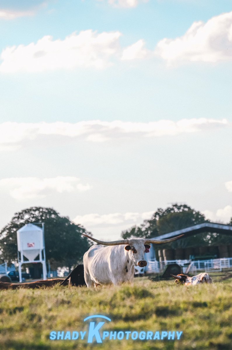 it’s been a minute