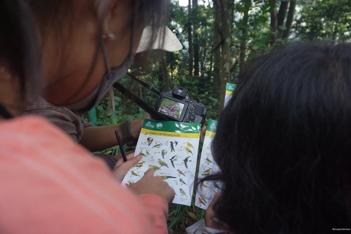 coba deh, mana yang lebih bikin kita amazed, mendengarkan kicauan mereka di alam atau dalam kurungan sangkar?

alam kann? coba deh keluar, birdwatching dan lihat burung di habitat aslinya, itutuh jauh lebih berkesan 🥰