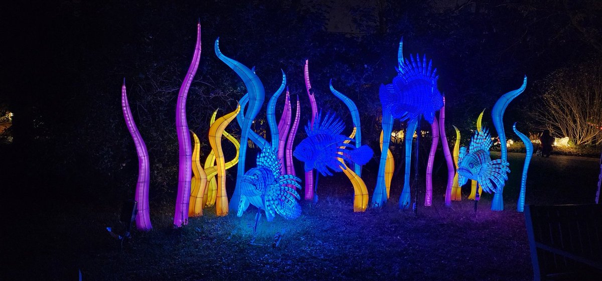 SpongeyAstro's tweet photo. Lantern Festival 2024
Columbus Zoo

A perfect goodbye to summer as the sun sets sooner and sooner in the evening.  By 7:30, the lanterns are so bright! https://t.co/nKBoXeJSku