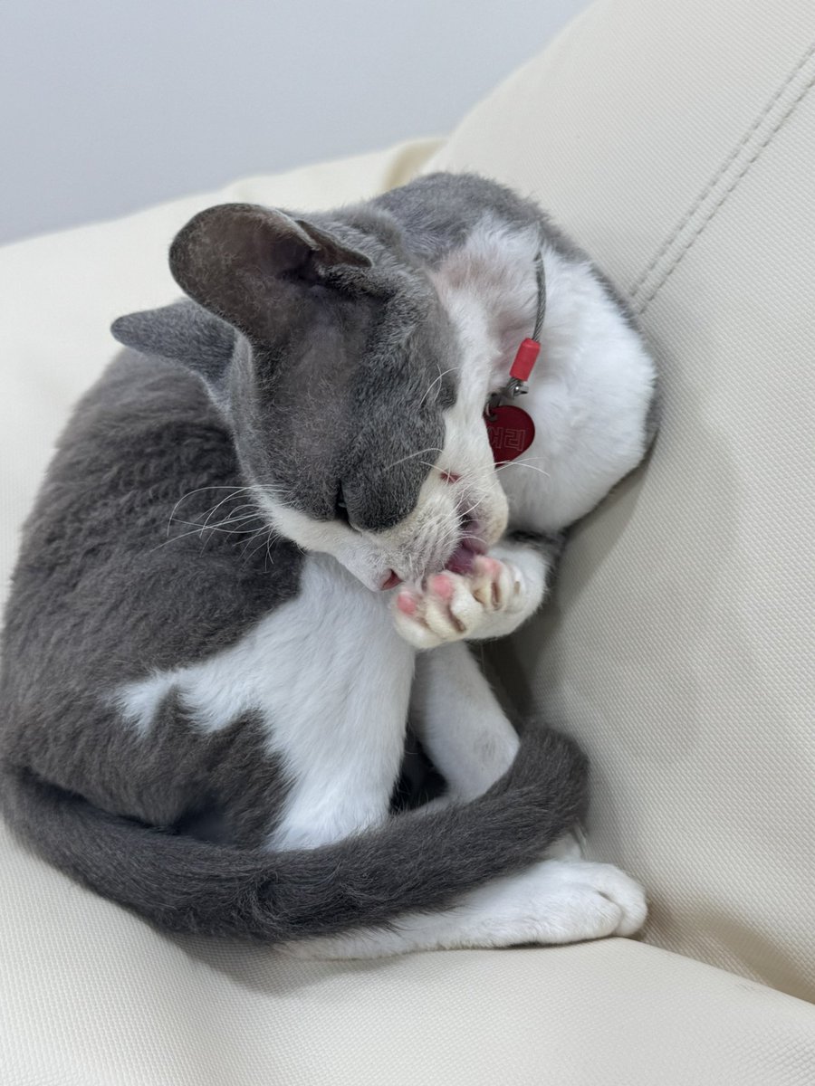 애기야 플러팅하지마