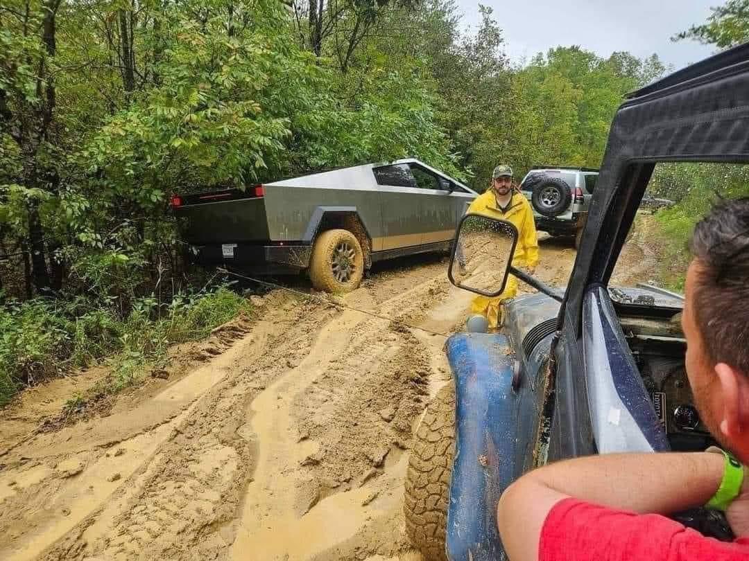 Buffetcarton's tweet image. A @elonmusk no le gusta esto 😂