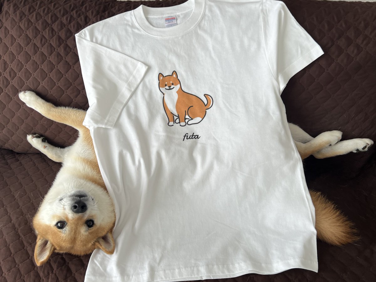 fufufufufu_ta's tweet photo. このTシャツ、ふう太くんに似てますか？

皆様、うちのこメーカーをご存知でしょうか。
目、鼻、口、色んなパーツを組み合わせる事でうちのこそっくりなイラストを作れるんです。

色んな種類のイヌちゃん、ネコちゃんを作る事が出来てとっても楽しいので是非お試しください！

無料でイラストを作ってみる🔻
https://t.co/cI4UDjvRal
 
うちのこイラストをとても気に入ってしまった方…スズリさんでグッズ購入もできます🔻
 @suzurijp 

#PR  #うちのこメーカー