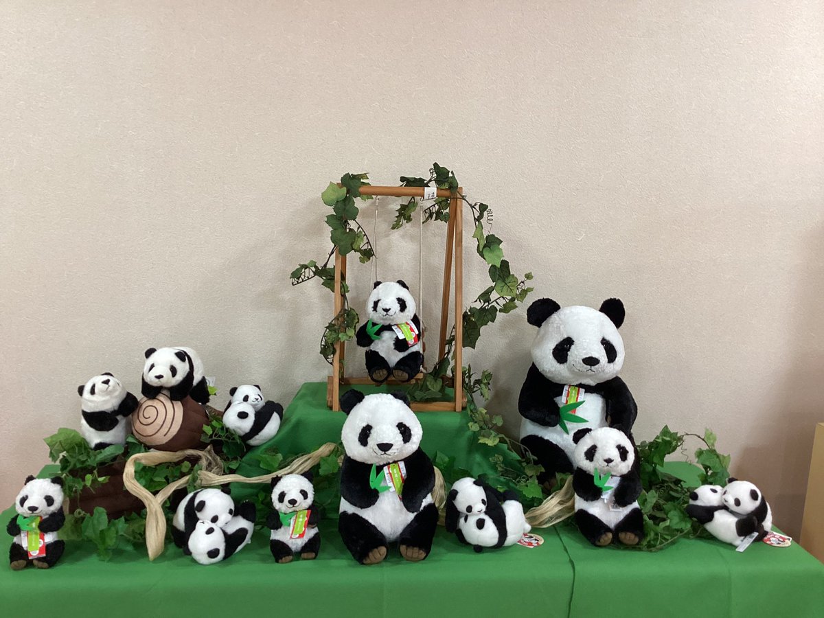 こんにちは😃 吉徳札幌店です。 上野動物園の🐼力力、真真が今月で中国