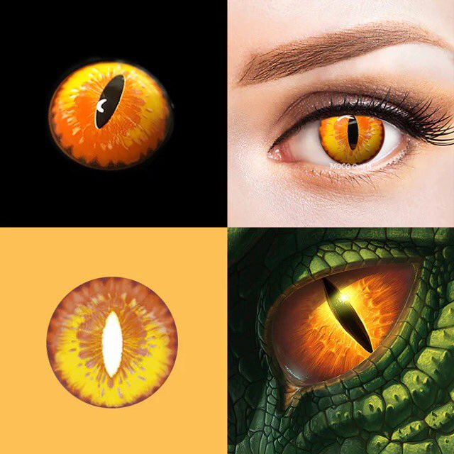 ⚔️ Ready to embark on your own adventure? ⚔️
Fjord says: “You can either walk away, or you can fight.” 💥
Which one are you going to choose?

Fjord：<a href="/nikko/">nikochan</a>.cosplay.71
👁：Dragon Maid Gold Yellow <a href="/moco_queen/">MocoQueen</a>
👉 Shop Now: Link in bio
📲 Follow, Like &amp; Share for more!