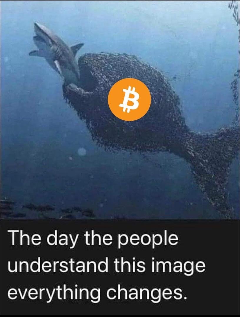 akkweb's tweet photo. 当我们再深入思考这张图片，它传递的并不仅仅是去中心化的表象，更是一种对未来金融权力重新分配的预言。这种深刻的思想EQ-AI量化系统的核心理念不谋而合。

EQ-AI量化系统是赋能个体投资者的强大工具。它让每一个用户，无论经验如何，都能够通过自动化交易系统参与复杂的市场操作，并获取高额回报。然而，量化只是未来DAO的一个工具，我们的最终愿景是通过DAO的力量，解锁更广阔的金融领域。 $BTC  $ETH $BNB