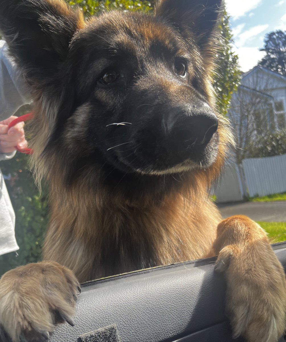 Look at his beautiful face 🥰