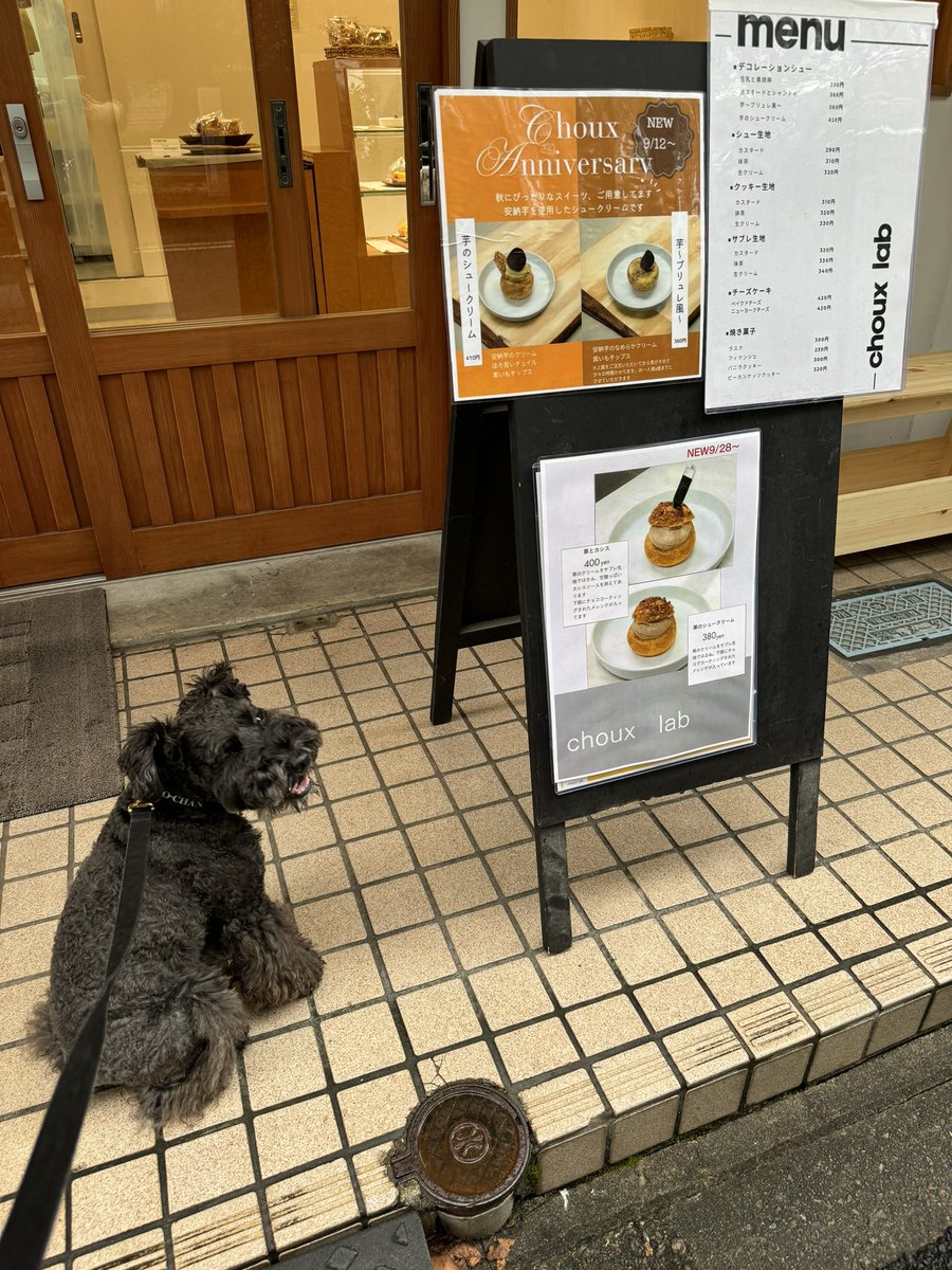 baudogs's tweet photo. ずっと気になってたシュークリーム屋さんに寄れた😋
#シュー生地カスタード
#クッキー生地抹茶
#chouxlab https://t.co/MbOGP619OL