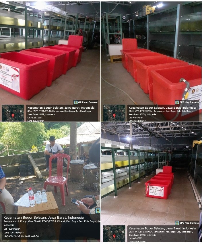 LKobog's tweet photo. Sabtu (14/09), Ainun, Luhkan Kota Bogor, monev bantuan coolbox Dr PDSPKP di Pokdakan MinaB Agribisnis & Bangkit Jaya Bersama Kec. Bogor Selatan.
#GiatLuhkanSatminkalBogor #ktbgr #aktivitas
@puslatluhkp
@brpbatpp_bogor
@bppsdm_kp https://t.co/G9fYRPLXjR