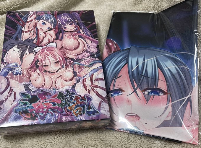 エッチなゲーム買ってきたので、しばらく右手と息子を酷使してきます(*^o^*) 