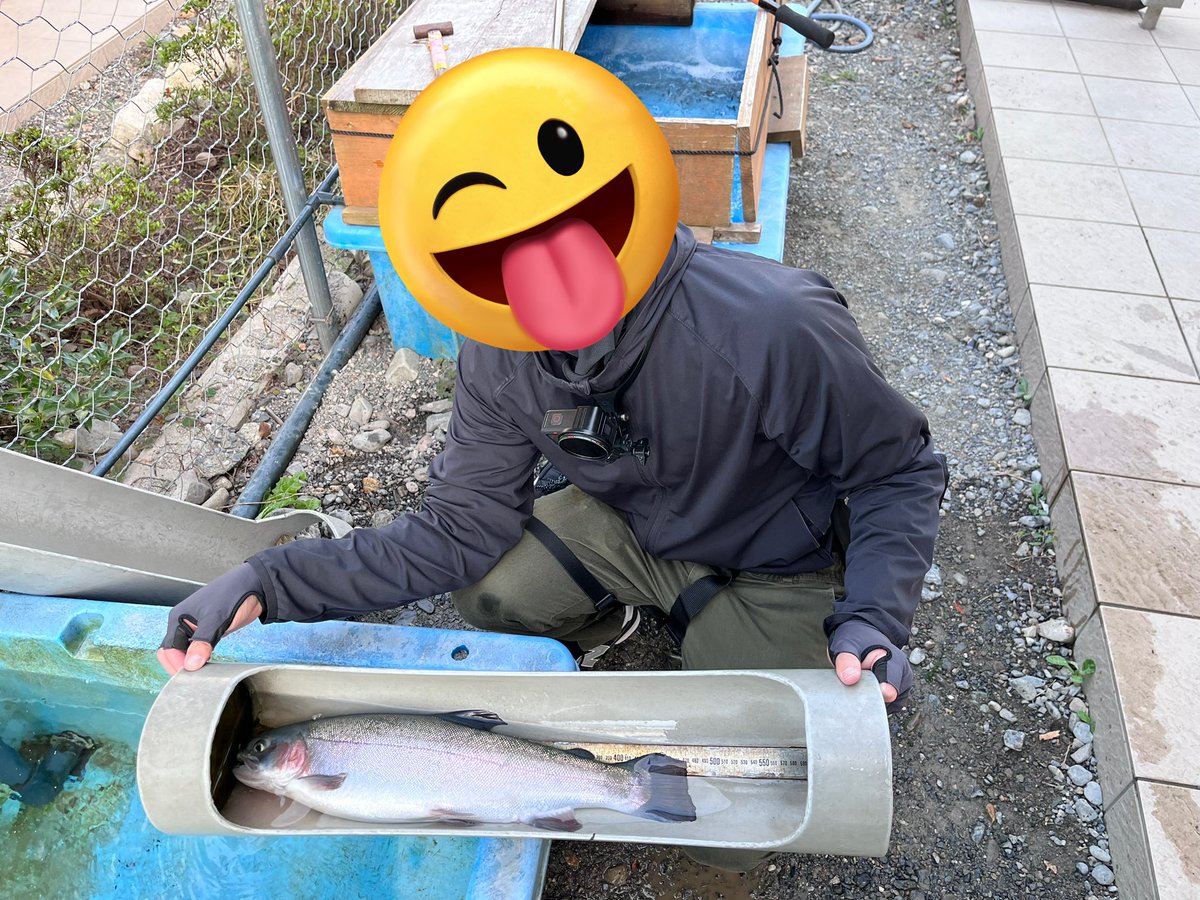 k1987_games's tweet photo. #BIGFISHGAMES
#BFG
#FATJr.
#JIG Jr.
#新作ルアー
#高島の泉
久々のエリアトラウト😆✨
JIG Jr.も、高島の泉に行くなら必携ですね🥰✨これからもアングラーに夢を届けて下さい！ https://t.co/ewZCKPcOQM