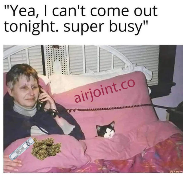 highlifegoods's tweet image. Sorry, I’m booked for the night... with some quality time and my essentials 😏 

#StayHomeVibes #SelfCareNight #CannabisChill #StonerHumor #HighLife #WeedMemes #StonerVibes #CatAndCannabis #CannabisCommunity #AirJoint #WeedLovers #ChillMode #HighTimes #CannabisCulture #StonerCats
