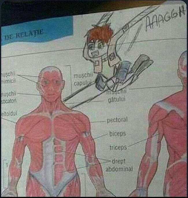 Who made this? 😭