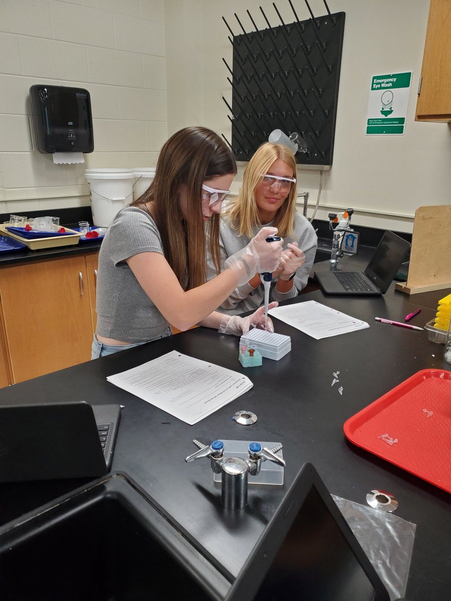 biogilmore's tweet photo. AP/CAPP bio enzyme lab.  As the bonds in the substrate molecules are broken, florescein starts to glow! Tomorrow we modify variables to see their impact on enzyme function. @MHSBavlnka @MNSDIrvine https://t.co/qKnz4QhO7z