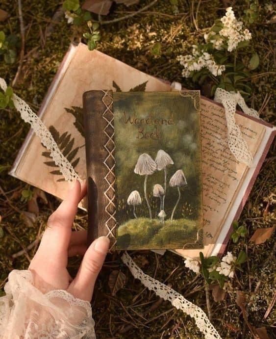 Javs 🔮📖 tweet media