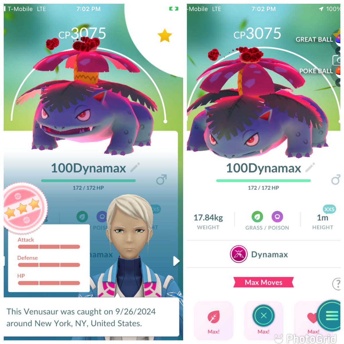 trdf53's tweet image. Big, but smol

XXS Hundo Dynamax Venusaur