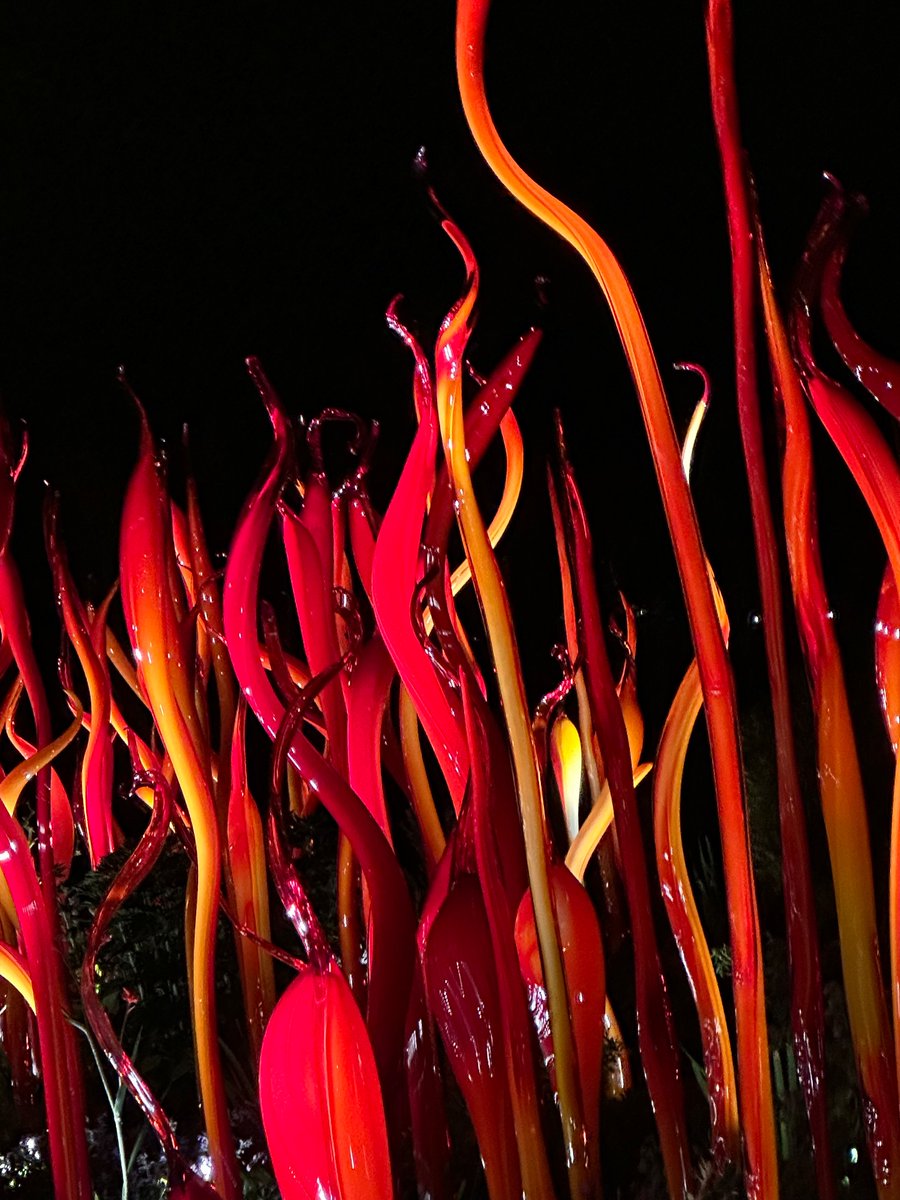 ruth mackenzie tweet media