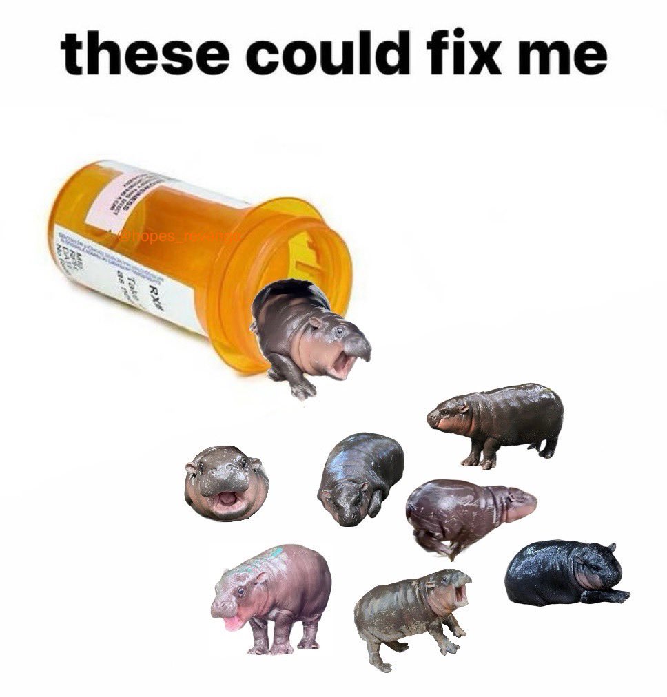 hopes_revenge's tweet image. 