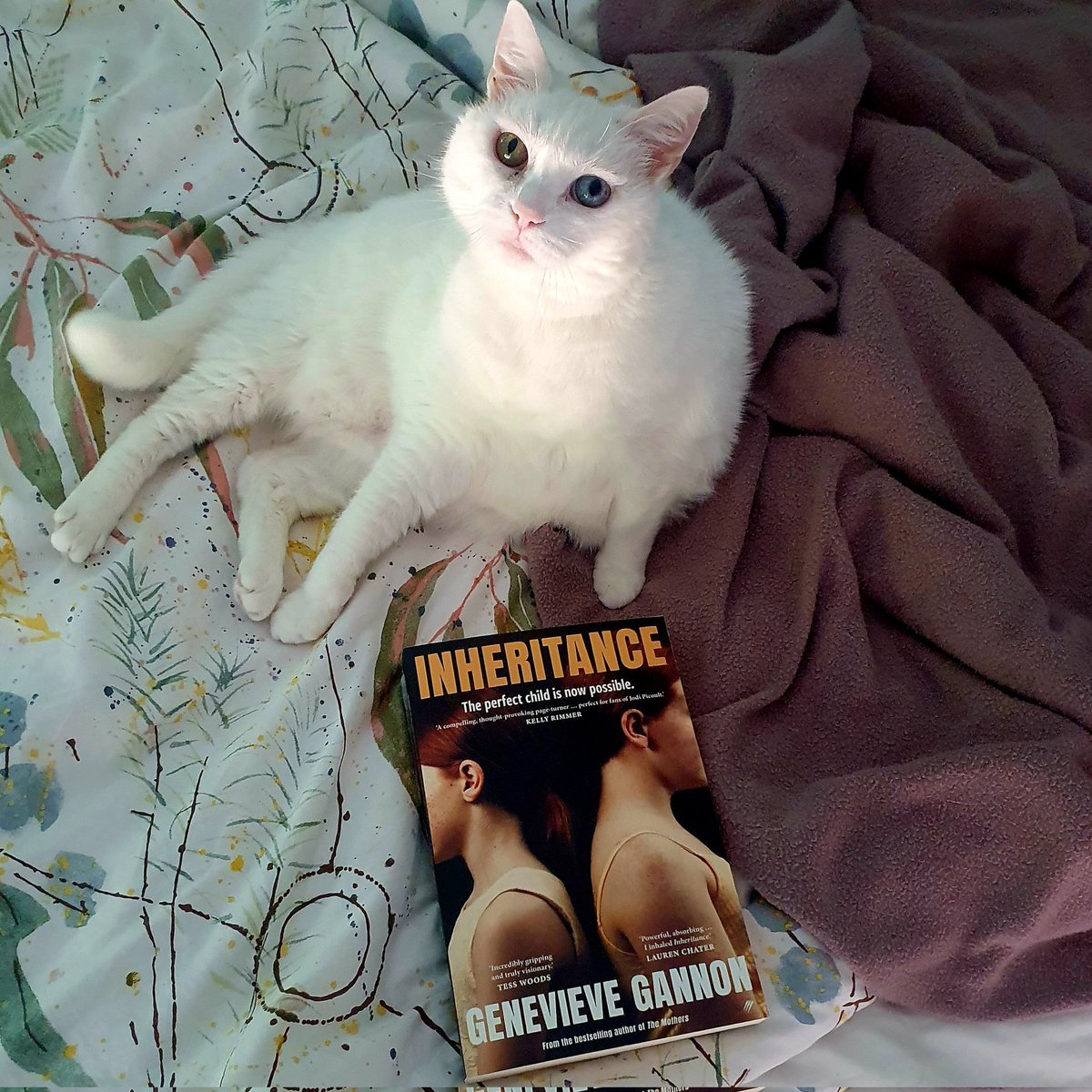 New #bookmail 😍 Inheritance by @Gen_Gannon. I'm looking forward to reading this one!