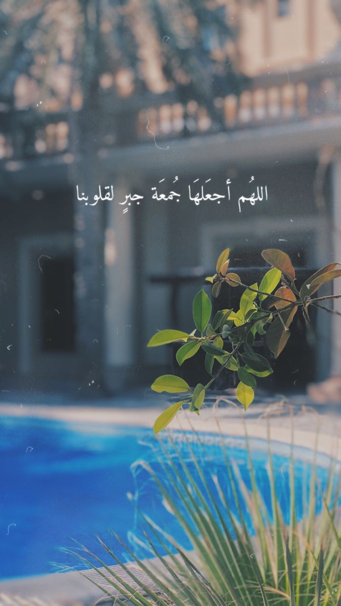 motm2na_'s tweet photo. يــارب🩶.. https://t.co/1iG6zu36xT