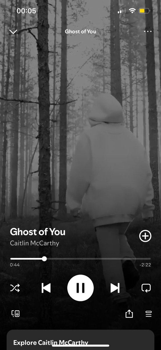 caitlin mccarthy tweet media