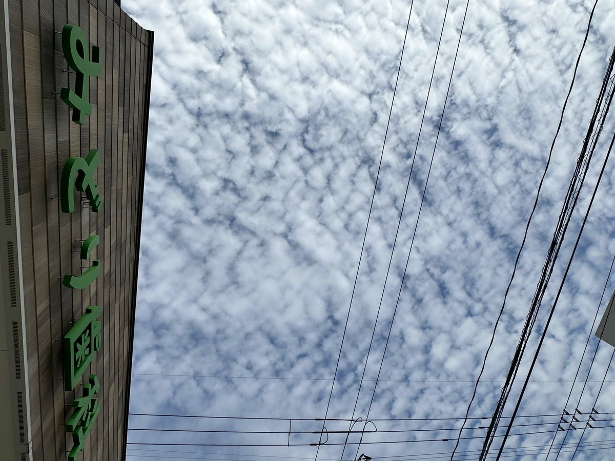 midorishika's tweet photo. 鱗雲がでて少し涼しくなりましたね☺️
お口の中の調子はいかがでしょう。
歯の検診をおすすめしています。
来週の予約に空きがわずかながらございます。
ご希望の方はお電話ください☎️
0822331418 https://t.co/Y8pazxcUP0