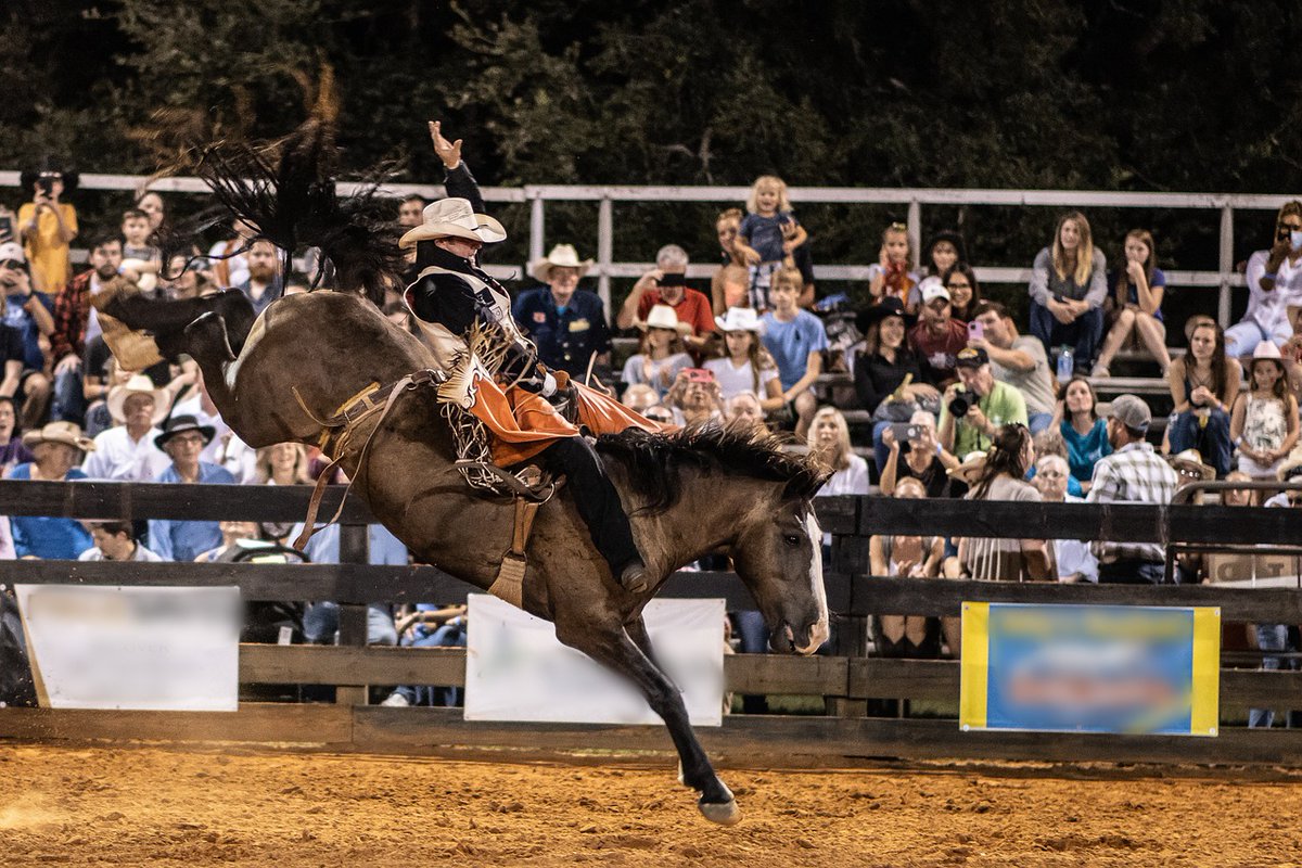 SLEPT ON: Did you know Mississippi's community colleges have been DOMINATING in the rodeo scene? Read more about how Northwest CC and East Mississippi CC have had over a decade of success in college rodeo athletics using the link ⤵️🤠🏇🧲
inferno.ms/slept-on-domin…