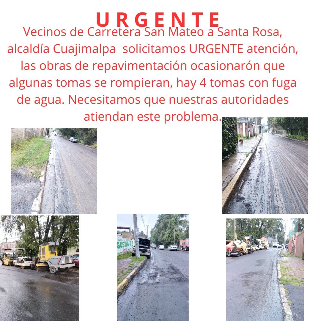 AlmaLibre tweet media