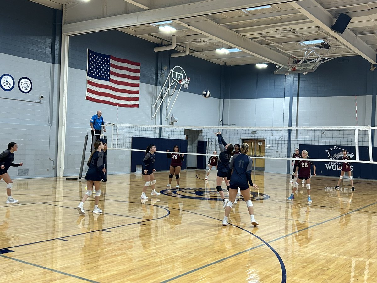 Lindsey Constance tweet media