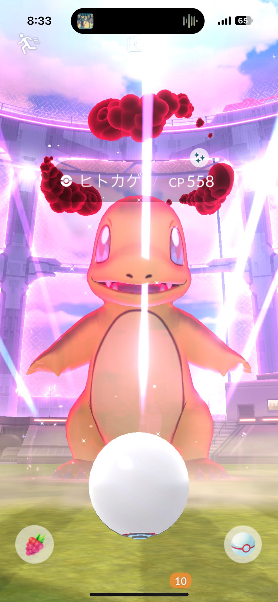 ま*ち様 ポケモンキッズ　色違い　新品　非売品　ヒトカゲ ま*ち様 ポケモンキッズ 色違い 新品 非売品 ヒトカゲ ま*ち様