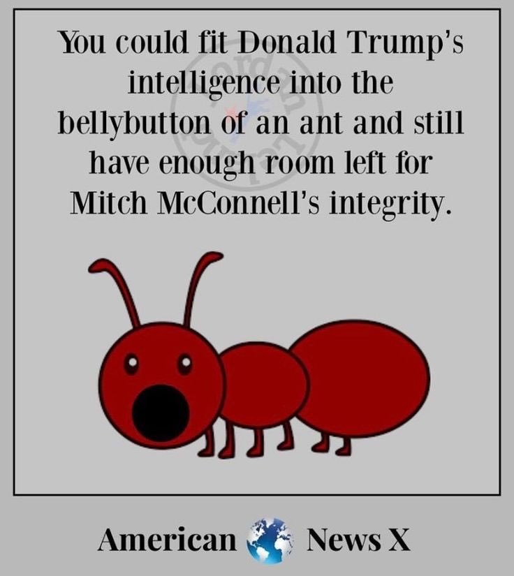 RajSubbaram's tweet image. #TheDonald &amp;amp; #TheMitch and @GOP also fit in