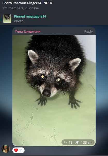 GingerRaccoon's tweet photo. $GINGER Owner Joined the TG!!

We are going to millions 🦝
CA: AxUx31tmanQ2r8xG3nBvW1L9miHHZNqMfALzc1ygpump

#GINGERISPEDRO https://t.co/ZtkyMKti4f