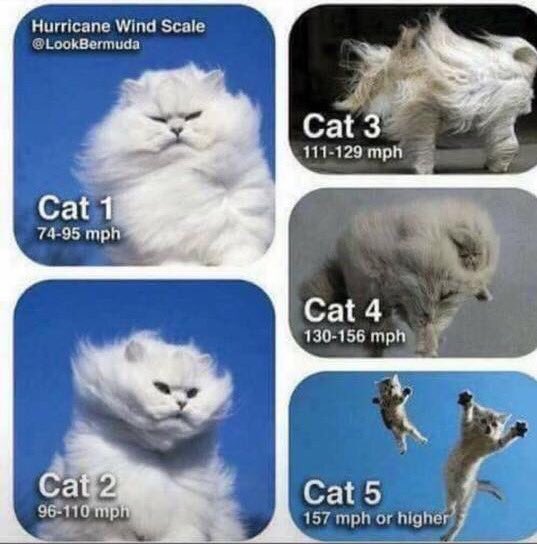 <a href="/catturd2/">Catturd ™</a> Can't resist a chance to use this: