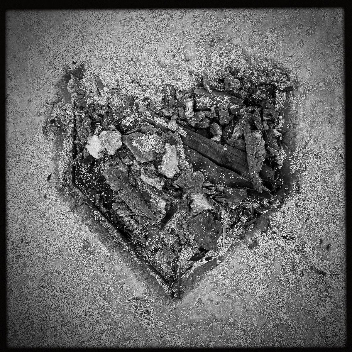 Scott Strazzante tweet media