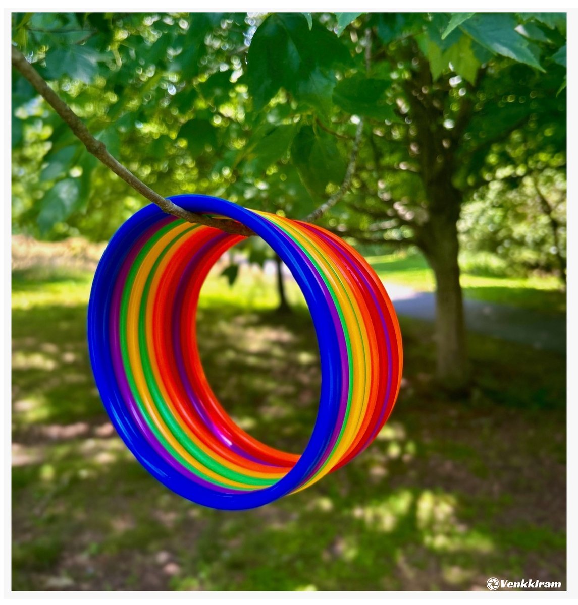 venkkiram's tweet photo. Todays photo theme is: Something Round โญ๏ธ๐ธ
Mine, ๐
Colorful moments found in the little things. ๐๐ The rings gently hanging on the tree bring a playful twist to nature's canvas.
#somethinground #simplejoy #natureandcolor #creativeshot #colorpop #photographyfun #photography #venkkiclicks