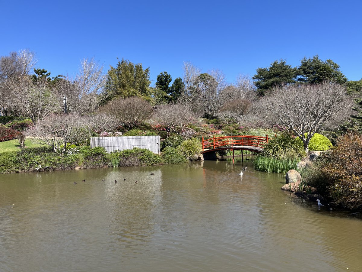Consulate-General of Japan, Brisbane tweet media