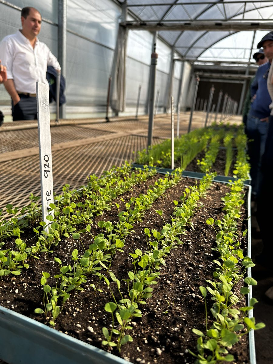 👏🏻👏🏻👏🏻