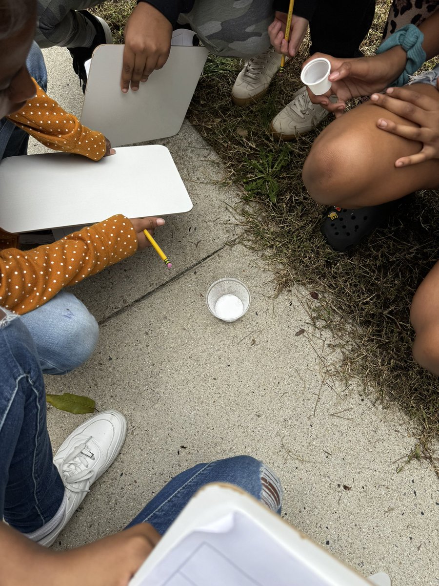 EducatorALee's tweet photo. Engage &amp; Explore: Hands-on learning in action! 🔬 Our young scientists are taking their experiments outdoors to explore the wonders of physical and chemical changes. Curiosity leads to discovery!
 @BuggMagnet #betteratbugg @WCPSS https://t.co/asZUsvYyVG