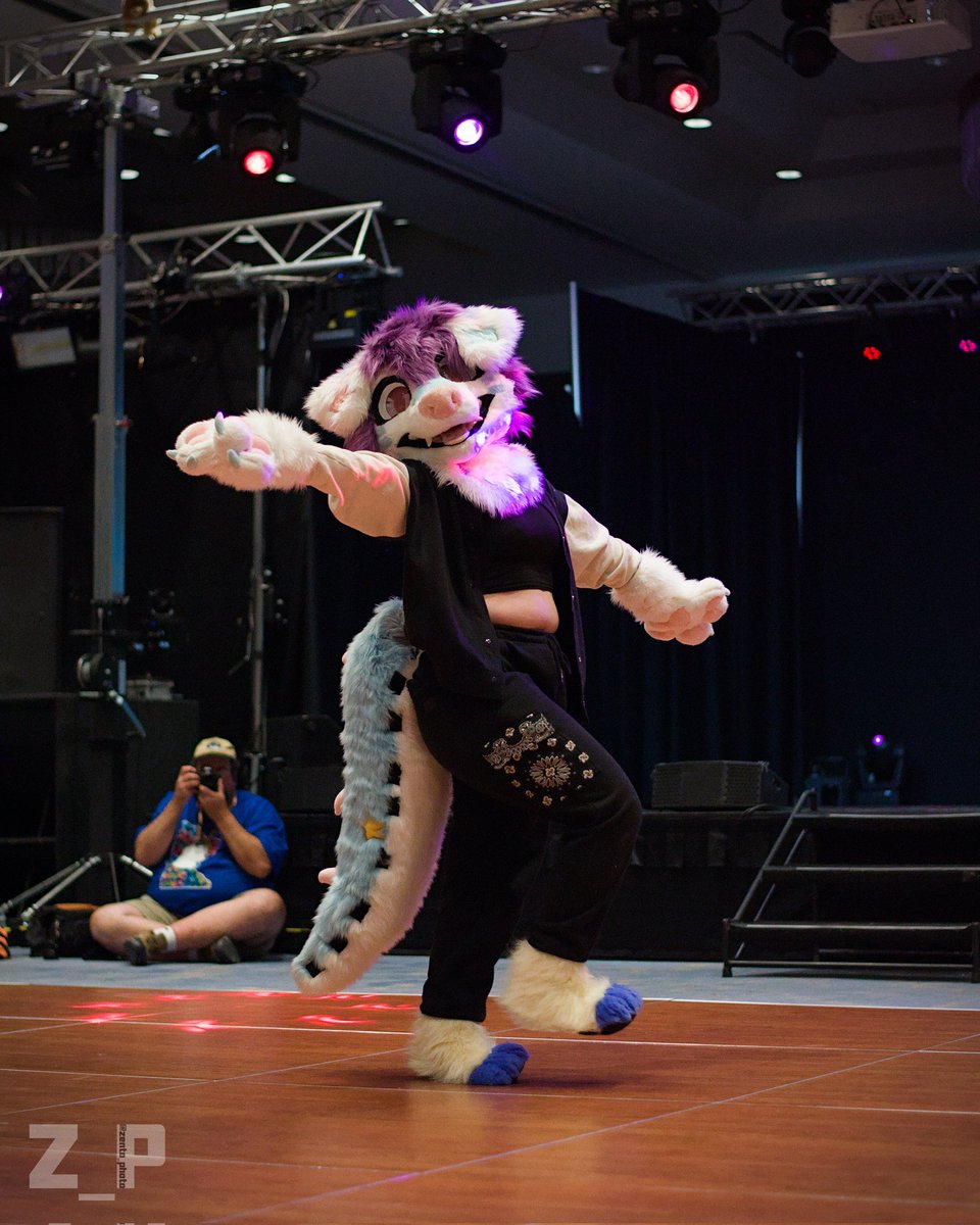 zento_photo's tweet photo. #furrymigration2024 Dance Comp Performer - Teddy!! https://t.co/vpdAsWrZCp