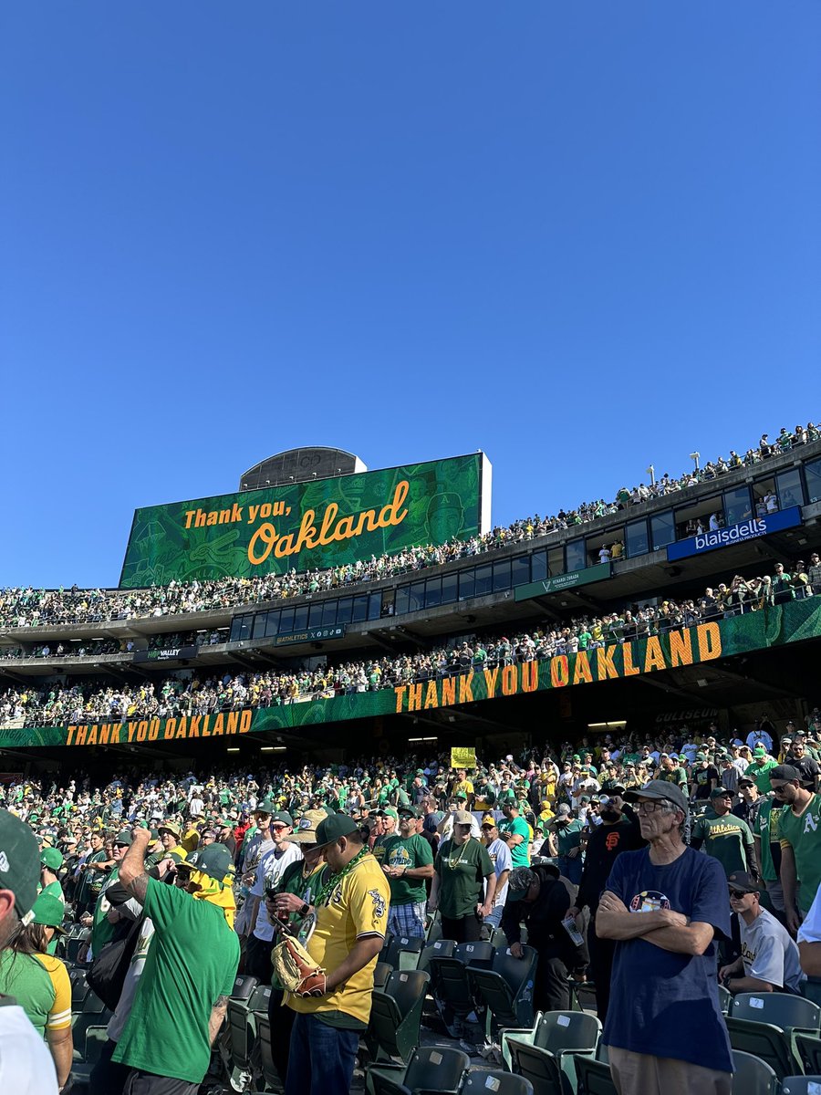 Sam Mahood tweet media