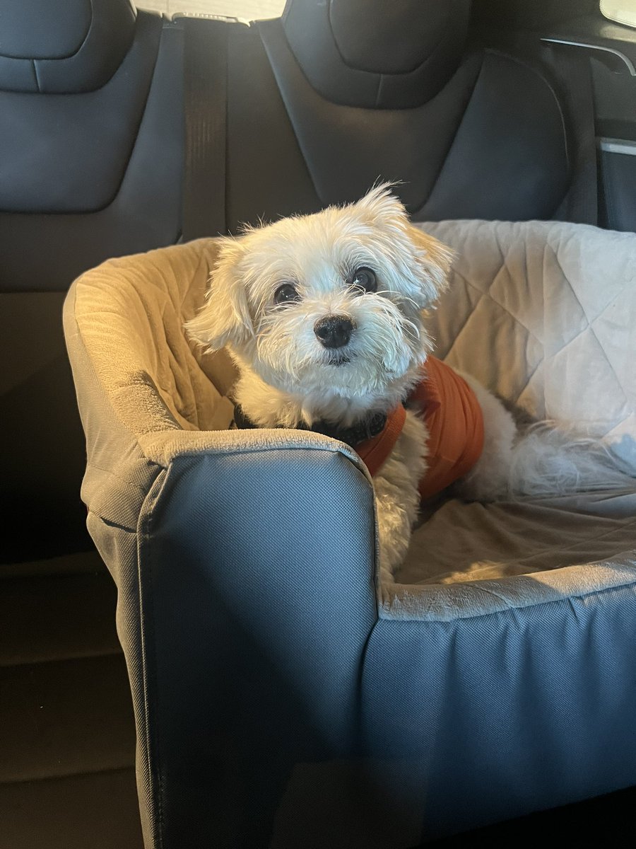 Brian Kibler tweet media