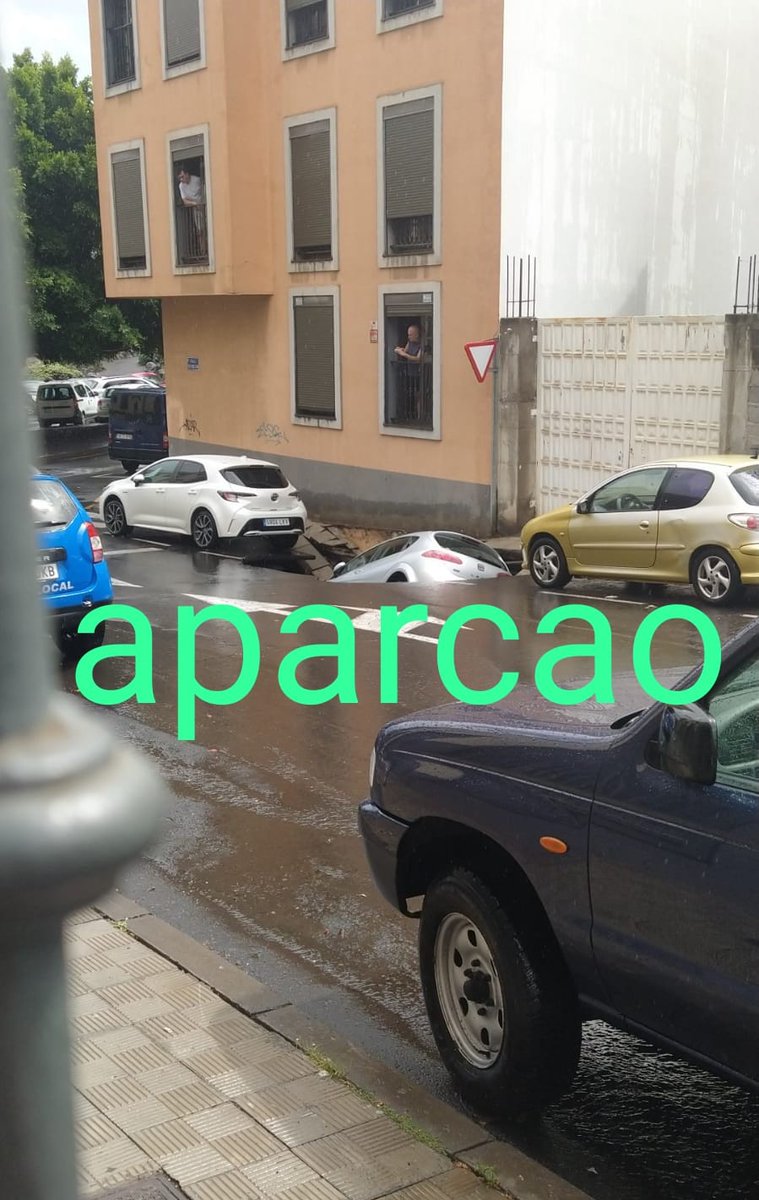 cojonudo (@perromandarinas) on Twitter photo 