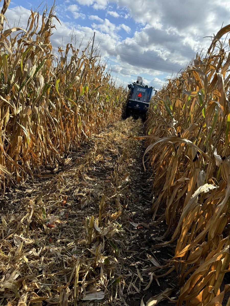 <a href="/jfender7710/">Jared Fender</a> getting us rolling on the first corn plots of the season for us on campus. Moistures still 24%+ but the R1 just running through no problem. 270+ bu/acre is not a bad start to the season on these plots