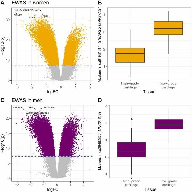 Osteoarthritis and Cartilage Journals (@oacjournal) on Twitter photo Last up for our #September #OAC #SpecialEdition
This study by Krietmaier et al. provides the largest genome-wide #methylation profiles of primary #cartilage with sex-specific insights into epigenetic processes underlying #OA progression. <a href="/EleZeggini/">Eleftheria Zeggini</a>
🔗 buff.ly/3TGDoX0 Last up for our #September #OAC #SpecialEdition
This study by Krietmaier et al. provides the largest genome-wide #methylation profiles of primary #cartilage with sex-specific insights into epigenetic processes underlying #OA progression. <a href="/EleZeggini/">Eleftheria Zeggini</a>
🔗 buff.ly/3TGDoX0