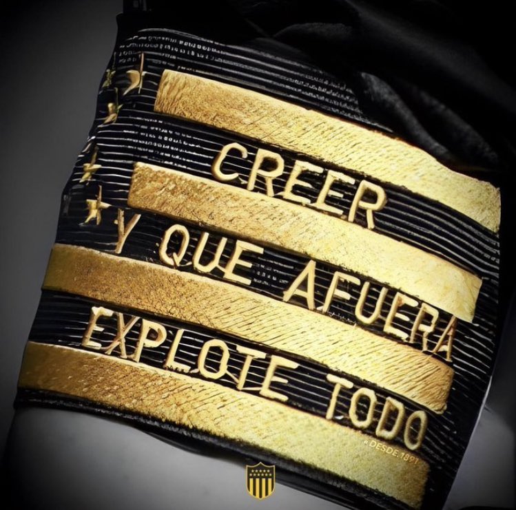 MartinRosso26's tweet photo. PEÑAROL PEÑAROL 💪🏻🖤💛🖤💛🖤💛🖤💛 https://t.co/dSTaVlCAn8