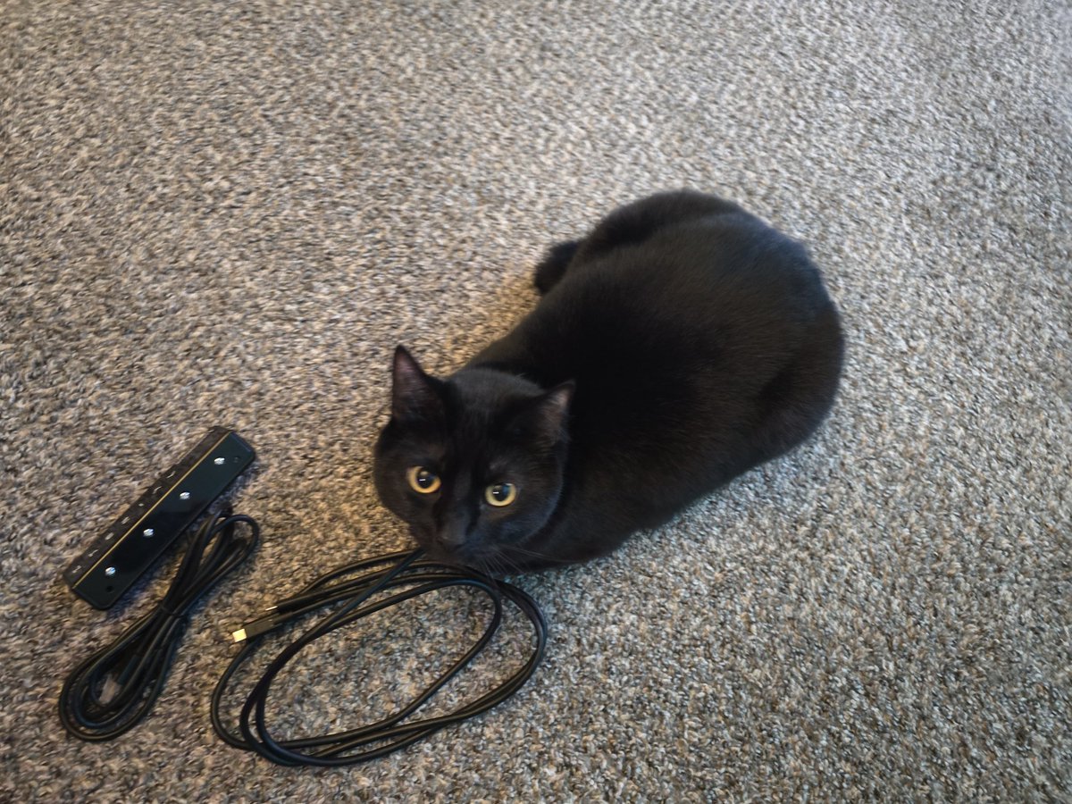 Berry had decided to destroy.

Twitch.tv/CidO