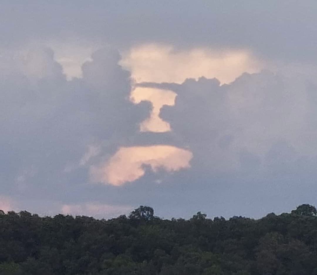 TaraLacyH's tweet photo. #GBO 🫡🧡🍊🏈 https://t.co/Egct76oGhG