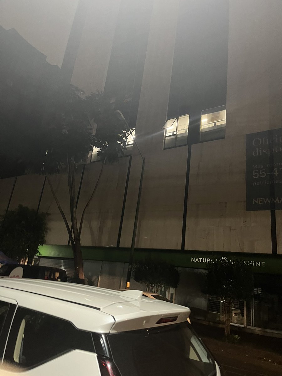 Sylvana L. Meaney tweet media